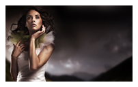 攻击网站服务器